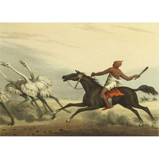 Edward Orme Arabs Hunting Ostriches - 1813