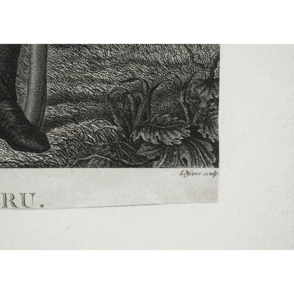 Lower margin detail with publisher inscription Potrelle Rue Honoré
