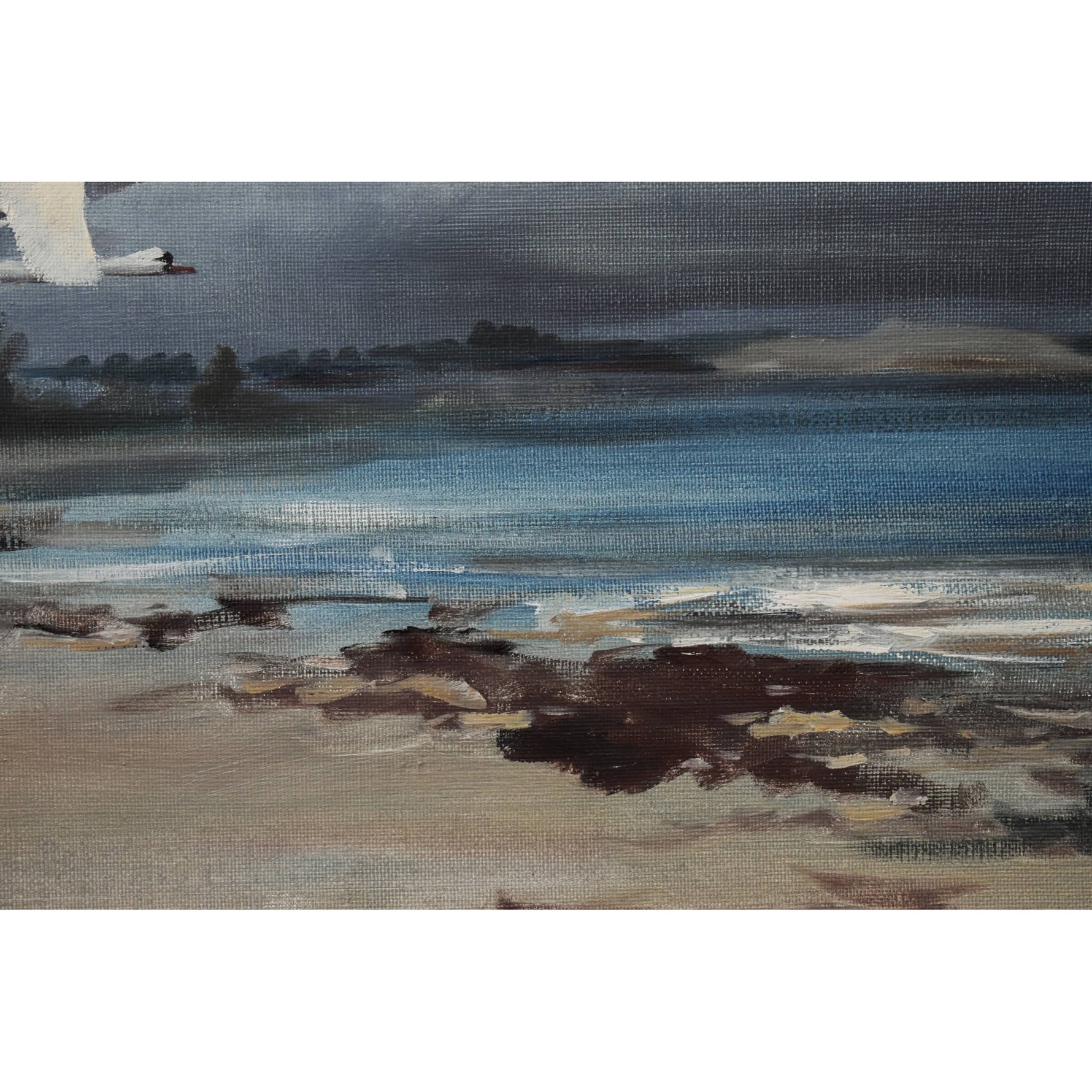 Vintage landscape oil painting swans over a sandy beach by Swedish artist Arne Lidqvist for sale at Winckelmann Gallery