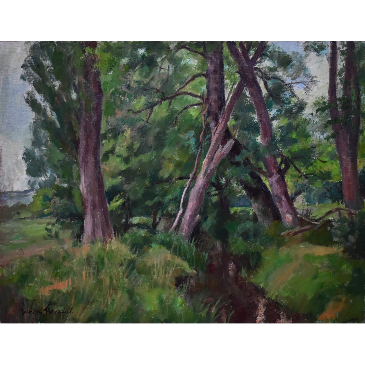 Georges Pacouil oil painting depicting a stream landscape Winckelmann Gallery