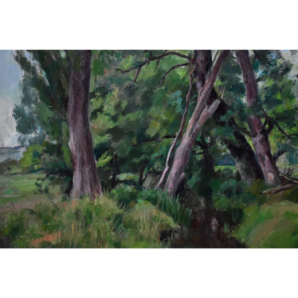 Georges Pacouil oil painting depicting a stream landscape Winckelmann Gallery