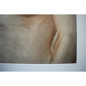 Original drawing pastel painting of Louis Muhlstock depicting a nude female figure, for sale at Winckelmann Gallery